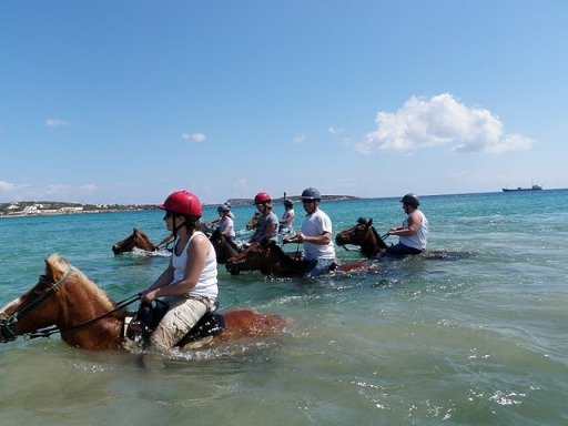 riding horses in the sea